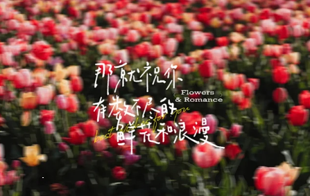 鲜花的物语,鲜花物语什么意思